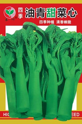 四季油青甜菜心